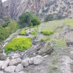 فارس - نورآباد ممسنی - پراشکفت (6) فارس - نورآباد ممسنی - پراشکفت (6)