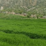 فارس - نورآباد ممسنی - پراشکفت (8) فارس - نورآباد ممسنی - پراشکفت (8)